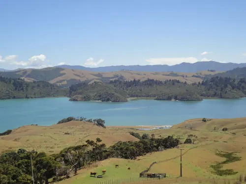coromandel